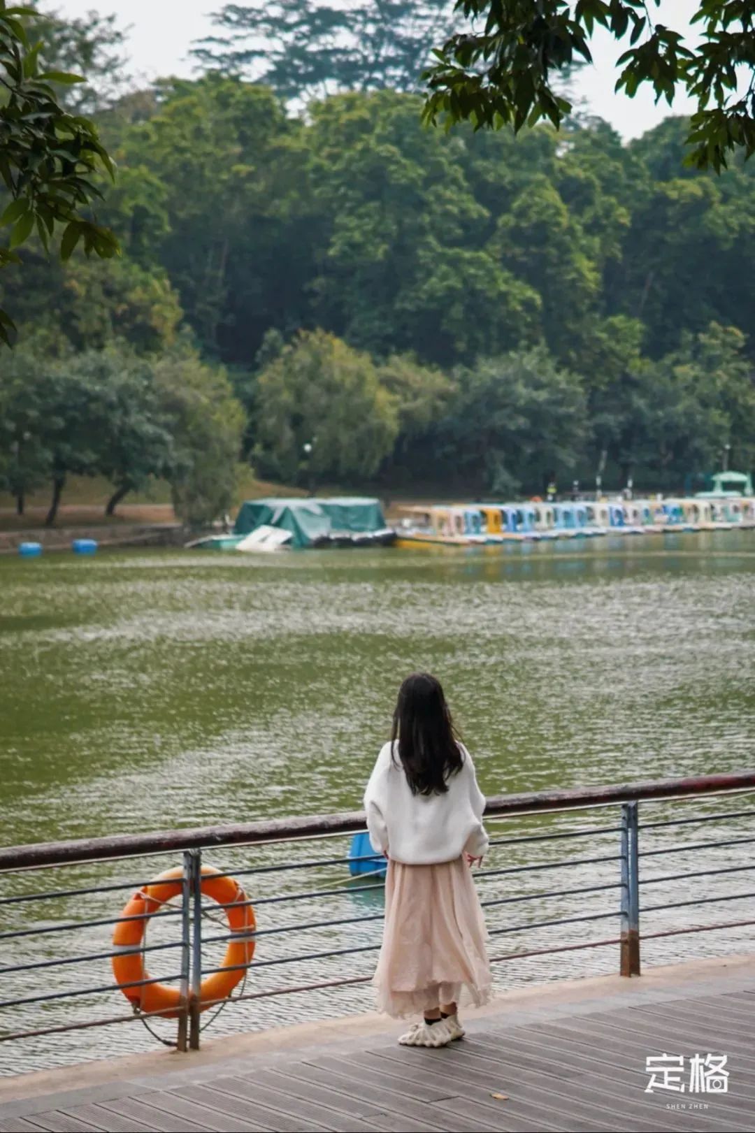 深圳地铁可以直接去的免费景点,深圳免费地铁直达景点12号线