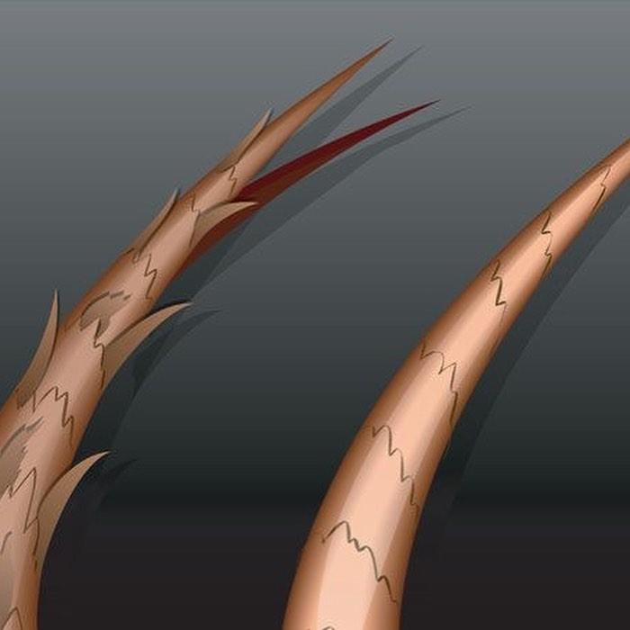 刚洗完吹干的头发很毛躁怎么办,洗头吹干头发为啥头发会干枯