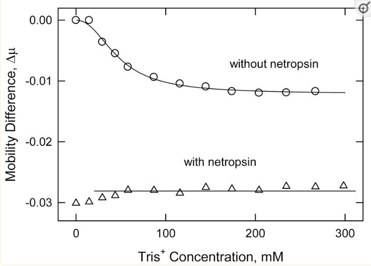 探究移动色氨酸是*霉素黄**抗生素合成黄素酶中内在电荷转移供体应用
