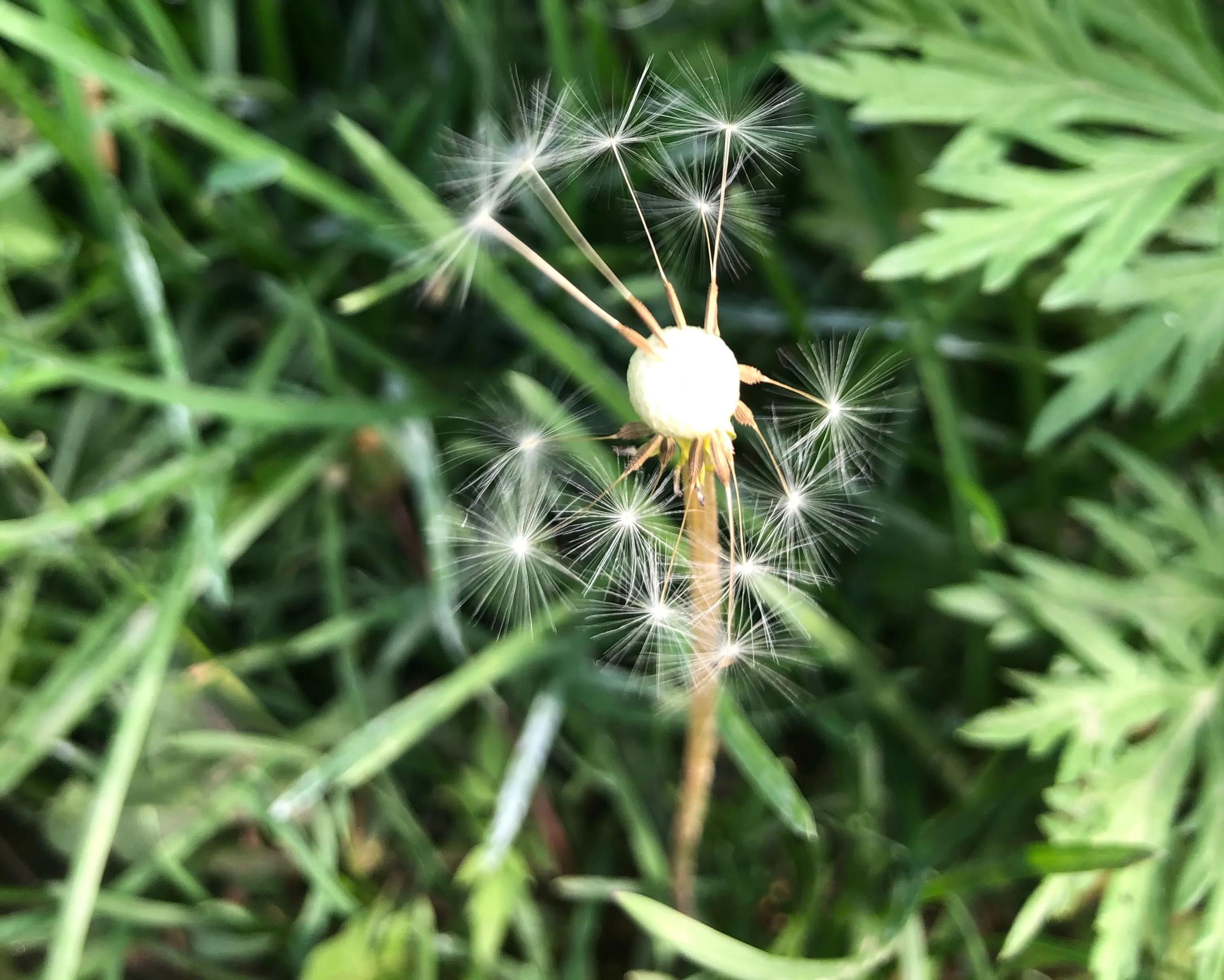 抗癌日记越战越勇,抗癌日记生活如此美妙