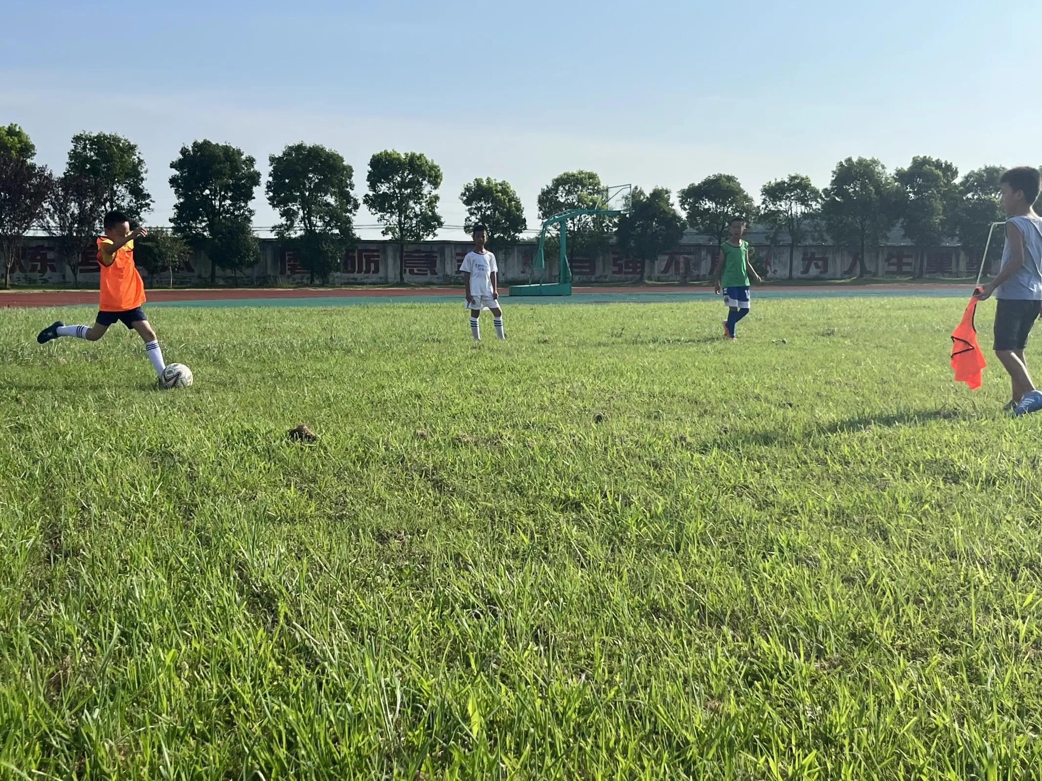 生命因运动精彩运动让生活更美,生命因运动而精彩美文