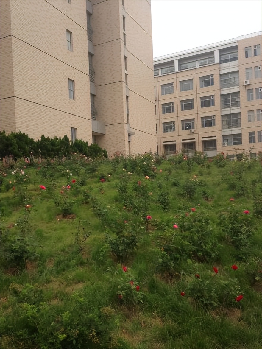 鲁东大学英语读写,鲁东大学匠心筑梦