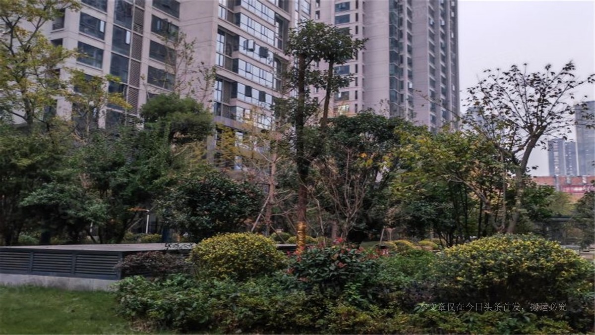 新星闪耀、年轻力量崛起——认识建筑设计界的新秀闫张烨