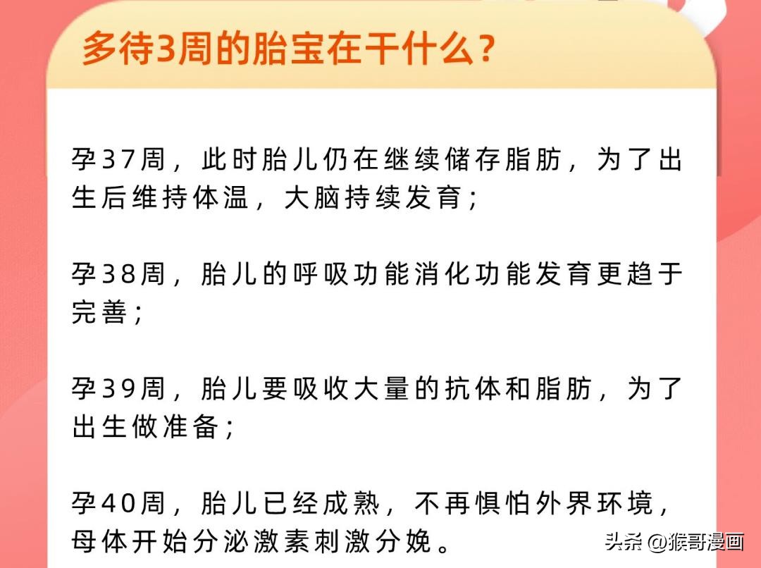 同样37周一样大吗,最佳足月胎儿39周与40周差别