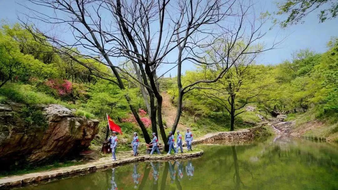 杜鹃花开杜鹃岭,杜鹃花开石窝村