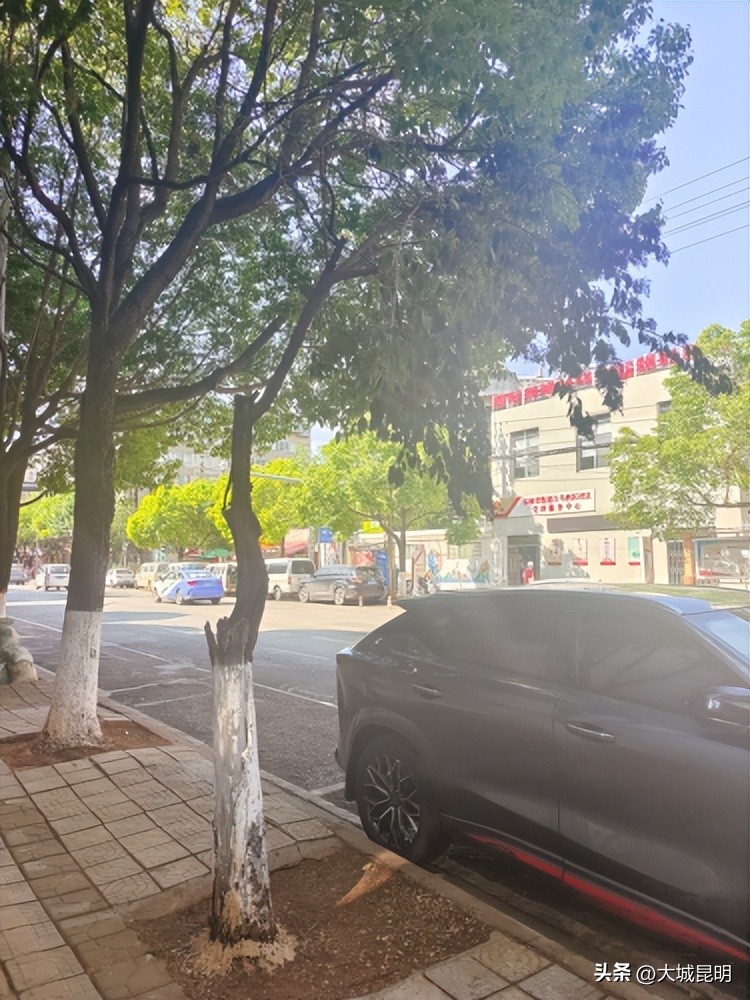 补绿换绿增绿！西山区道路沿线景观将焕然一新