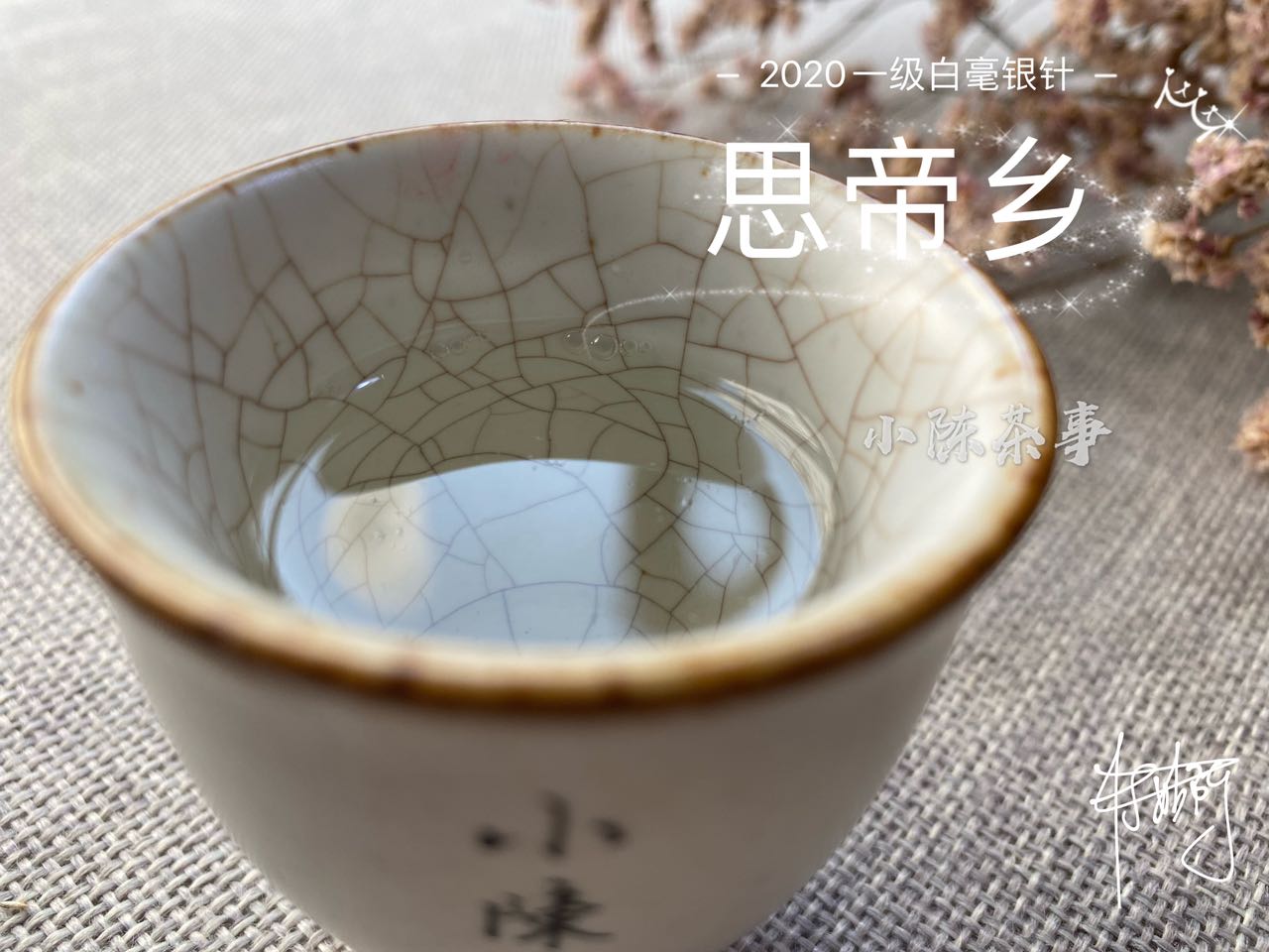 白毫银针最低多少钱真的,白毫银针便宜的能买吗