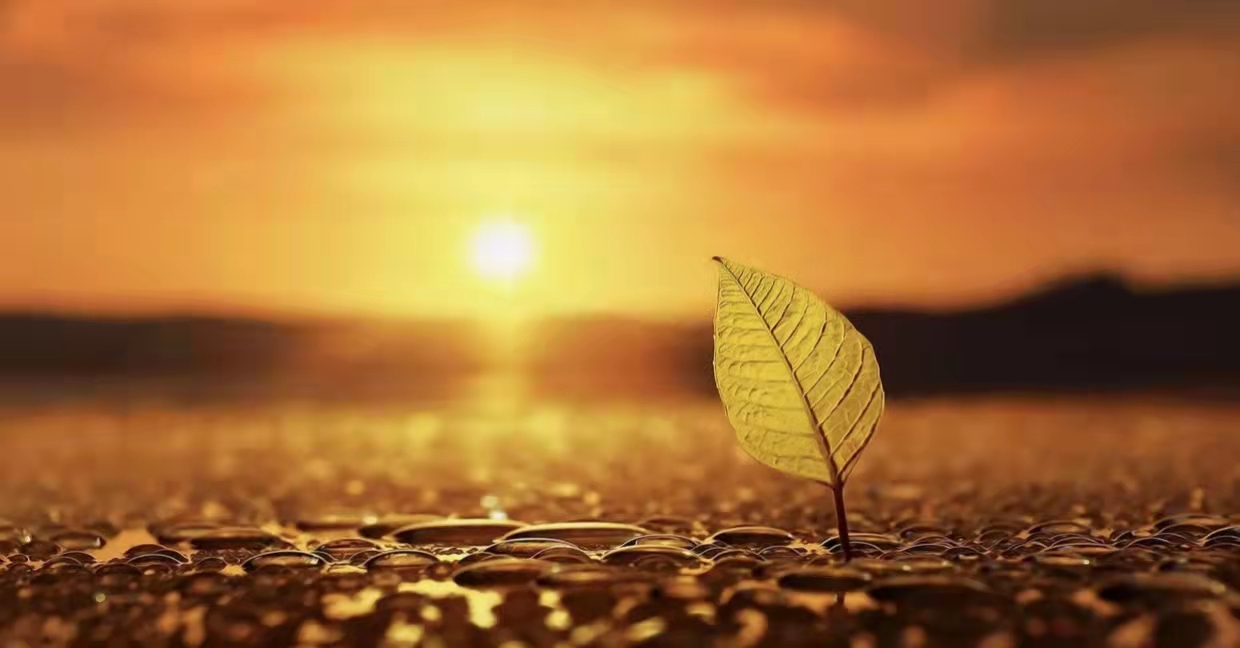 人到中年尽力而行坦然而过,尽人事听天命凡事尽力而为不强求