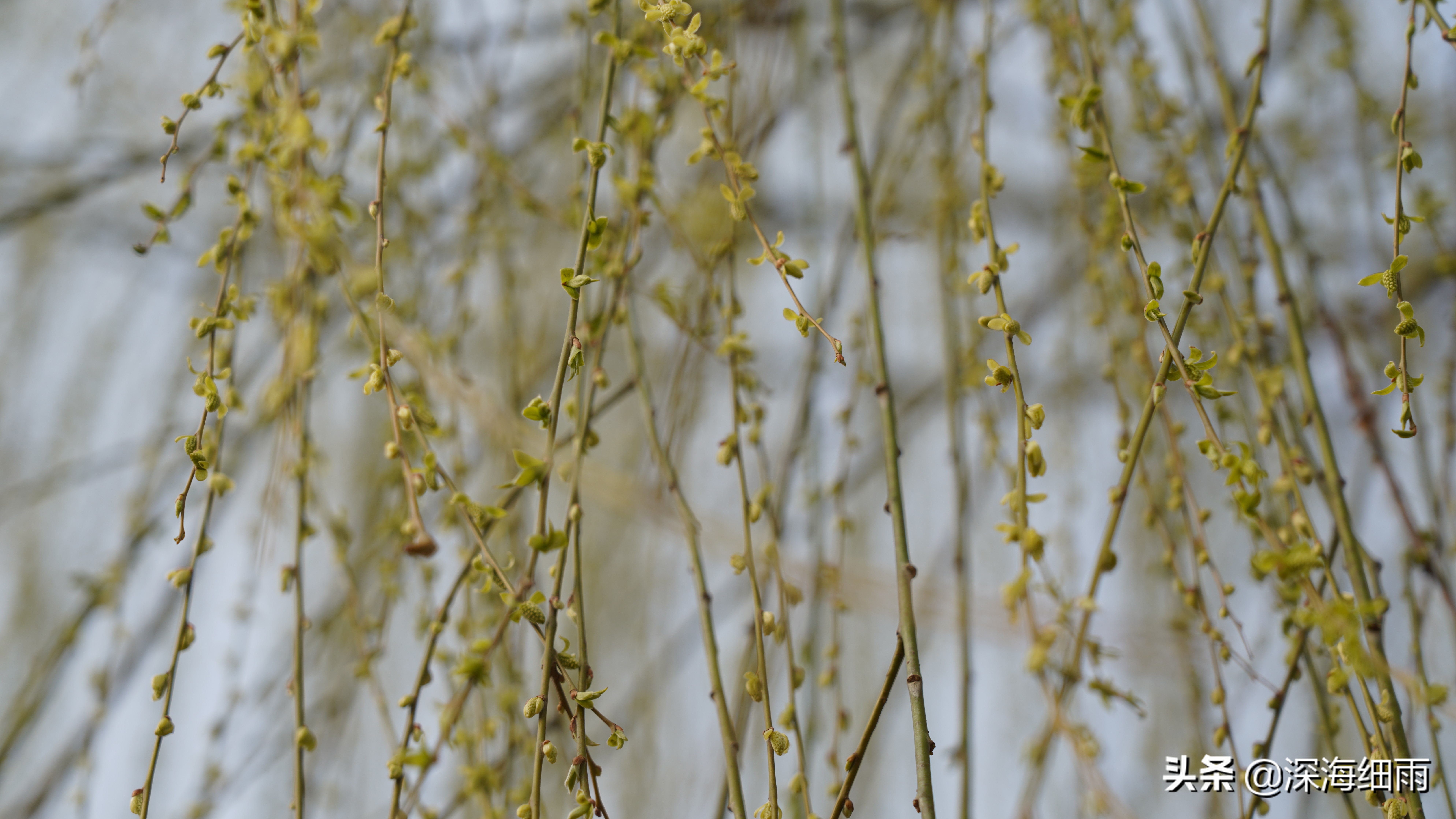 健身烧钱吗,健身烧钱严重