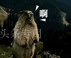 女子炒币被诈骗50万,女子炒期货亏本