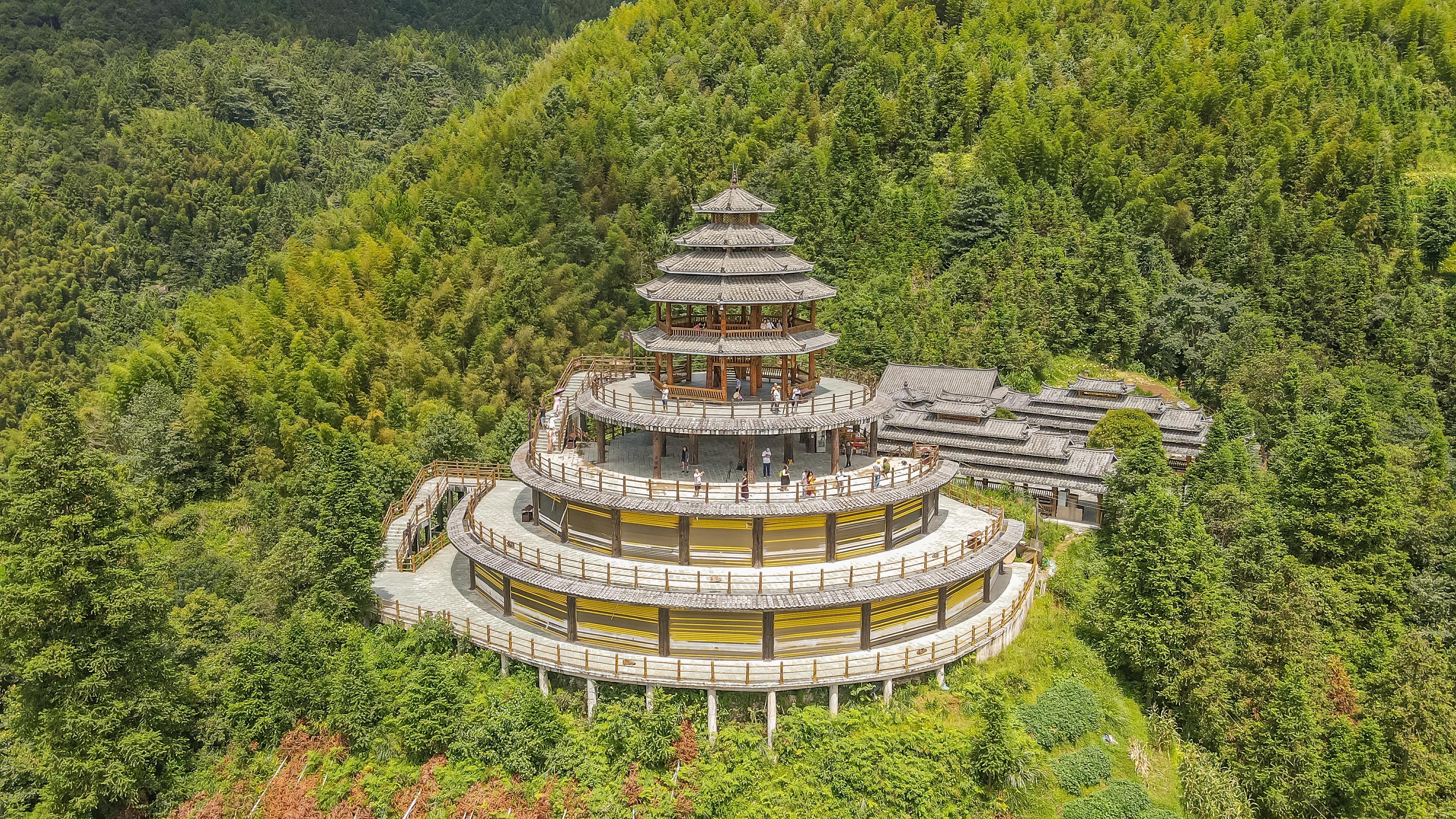 龙脊水稻梯田图片,龙脊水稻