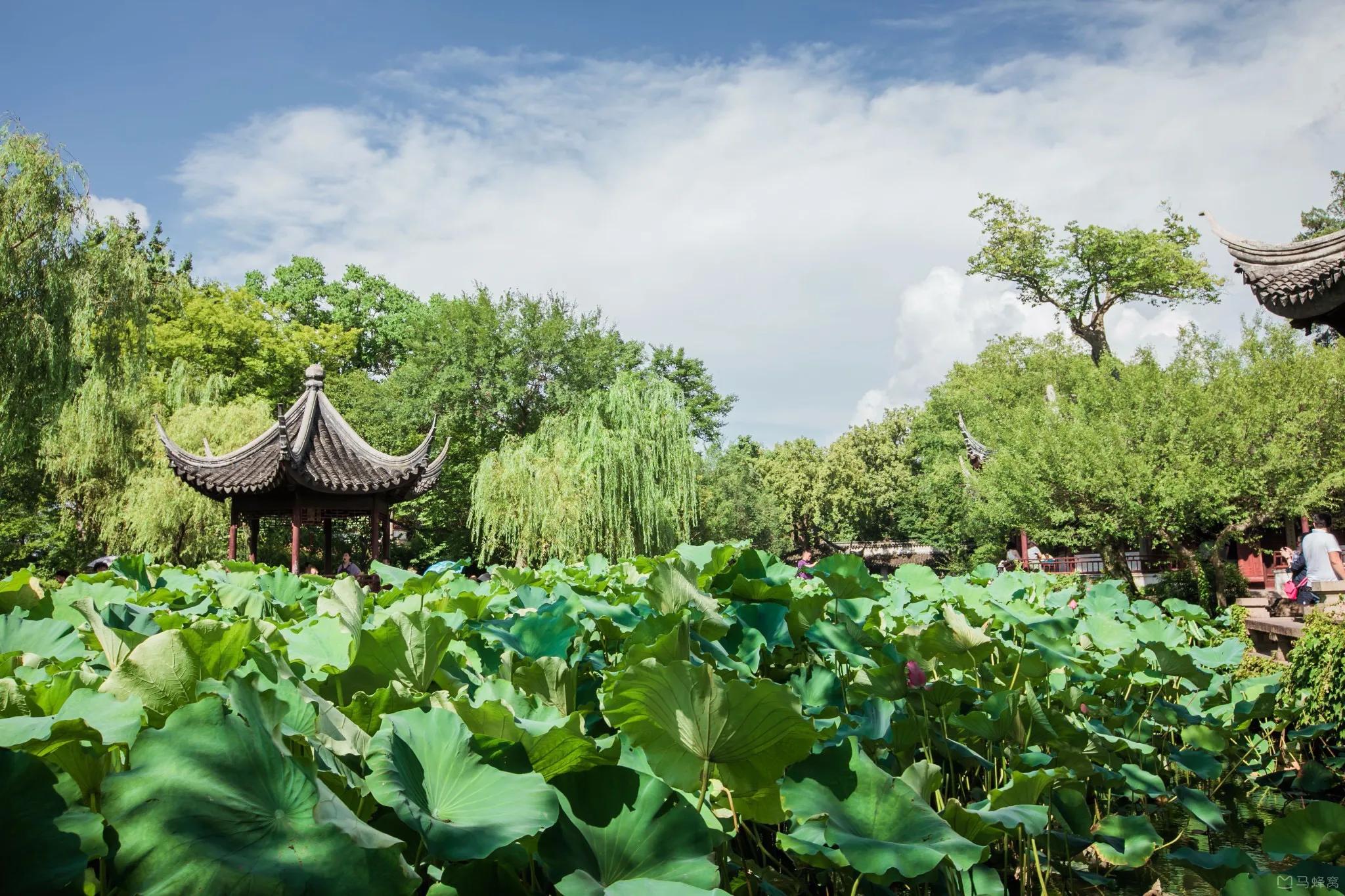 苏州吴江区免费景点排行榜前十名,苏州夜间必玩十个景点