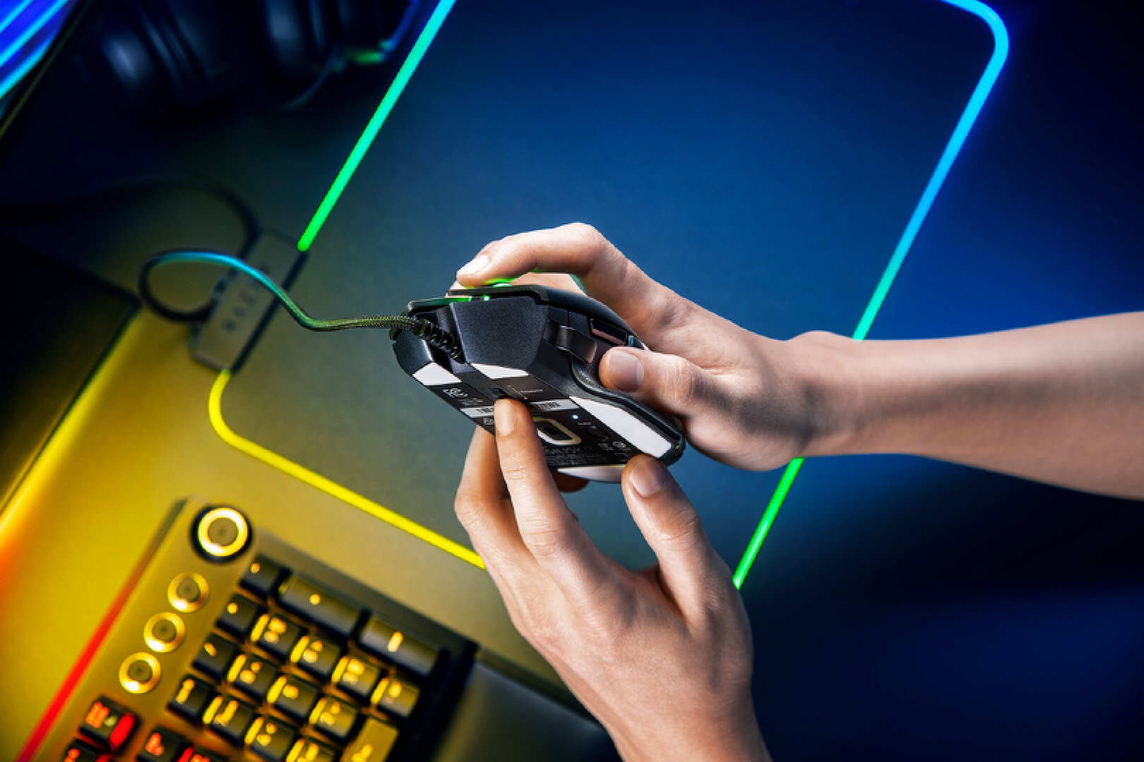 趴握毒蝰mini,趴握鼠标雷蛇