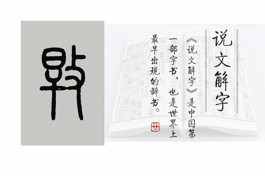 《说文解字》第597课：“孜孜不倦”的“孜”究竟是啥意思？