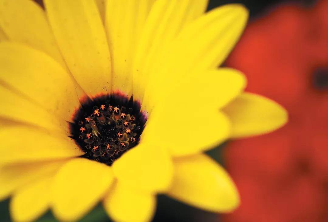 如何让自己的照片更具表现力,好照片的五个必背要素