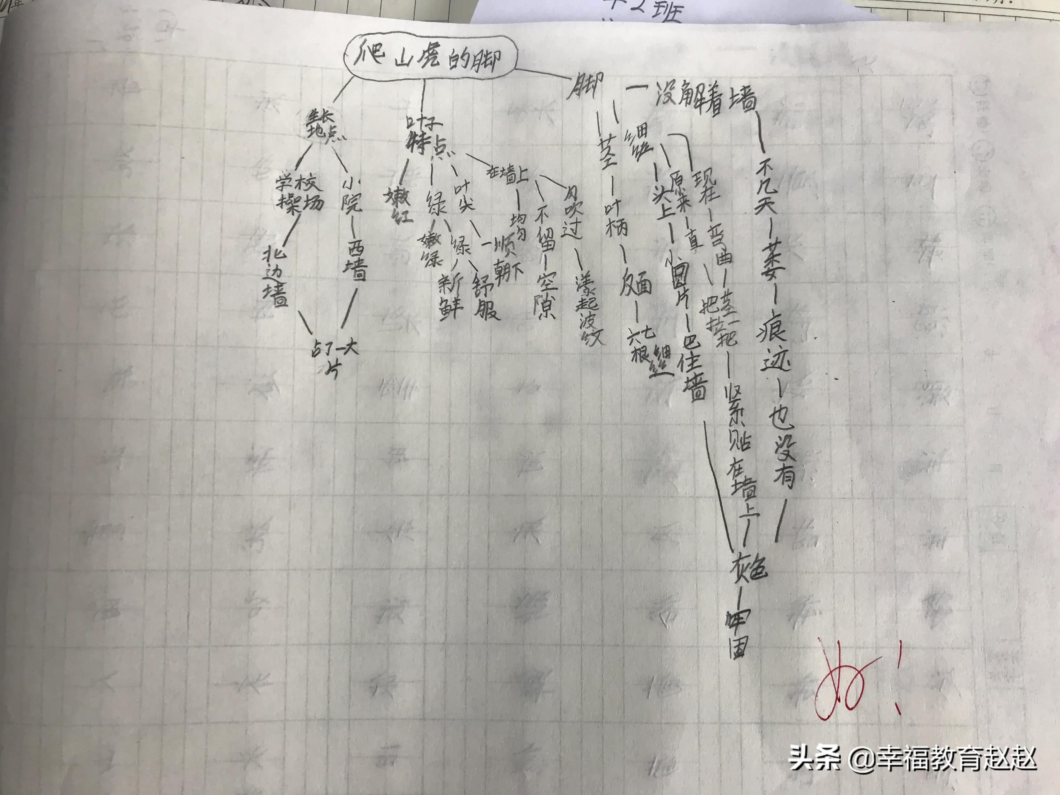 爬山虎的脚思维导图怎么画图片,爬山虎的脚思维导图绘画过程