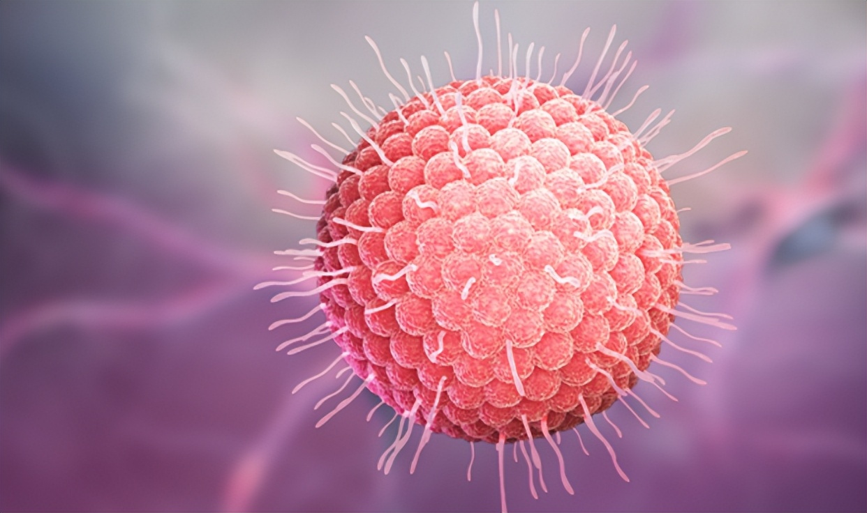 生殖器疱疹和疖子的区别,生殖器疱疹和火疖子区别