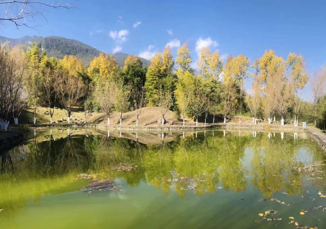 大理大学有几个学院,大理大学的发展前景