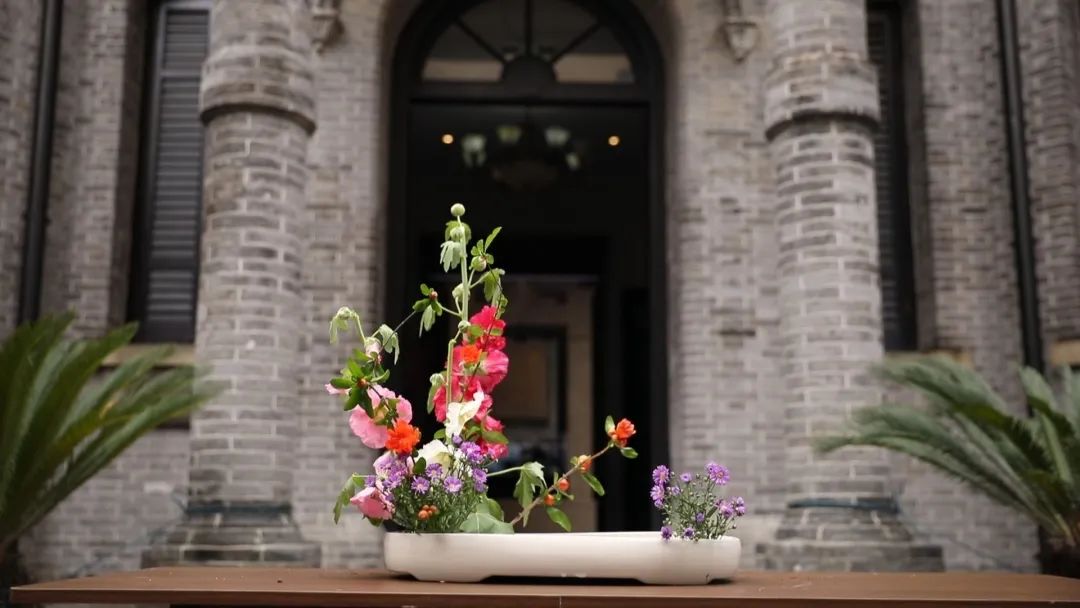 二十四节气花图文,二十四节气谷雨国花盛开的季节