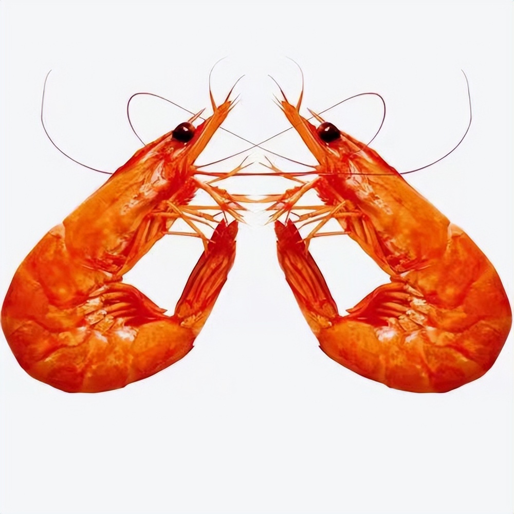 连云港东方对虾批发,对虾销售渠道有哪些