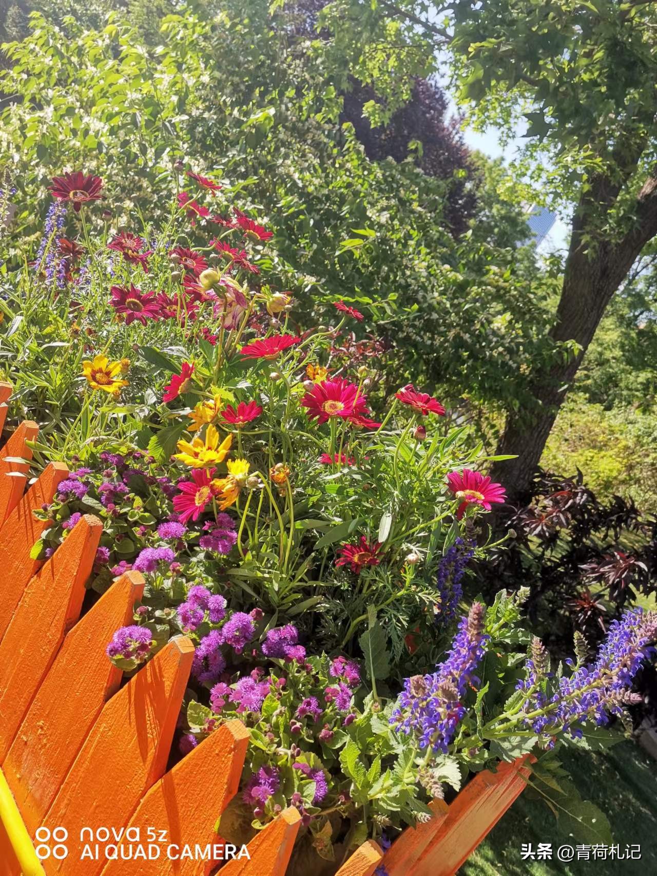 田园生活的古诗词名句,描写田园乡村生活的古诗词