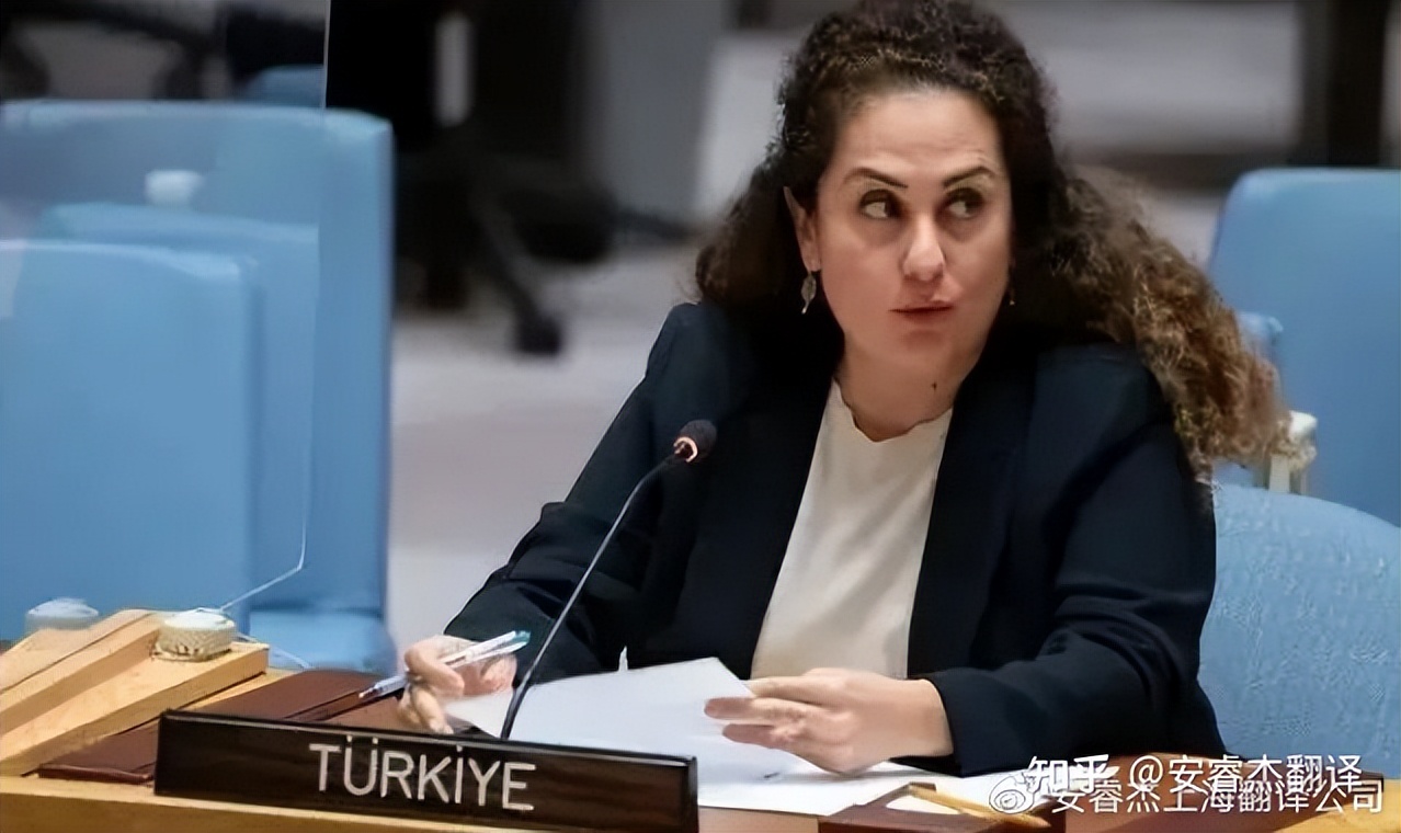 火鸡英语和土耳其英语,土耳其语和中文翻译