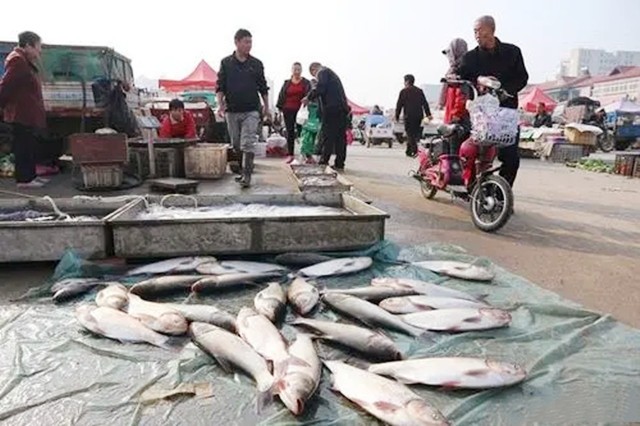 东莞最有钱的富豪王金城,王金城身价有多少亿