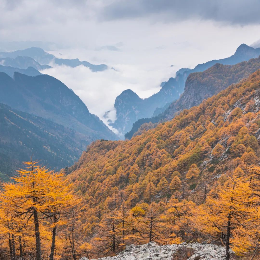 登太白山感受,太白山景区登顶拔仙台