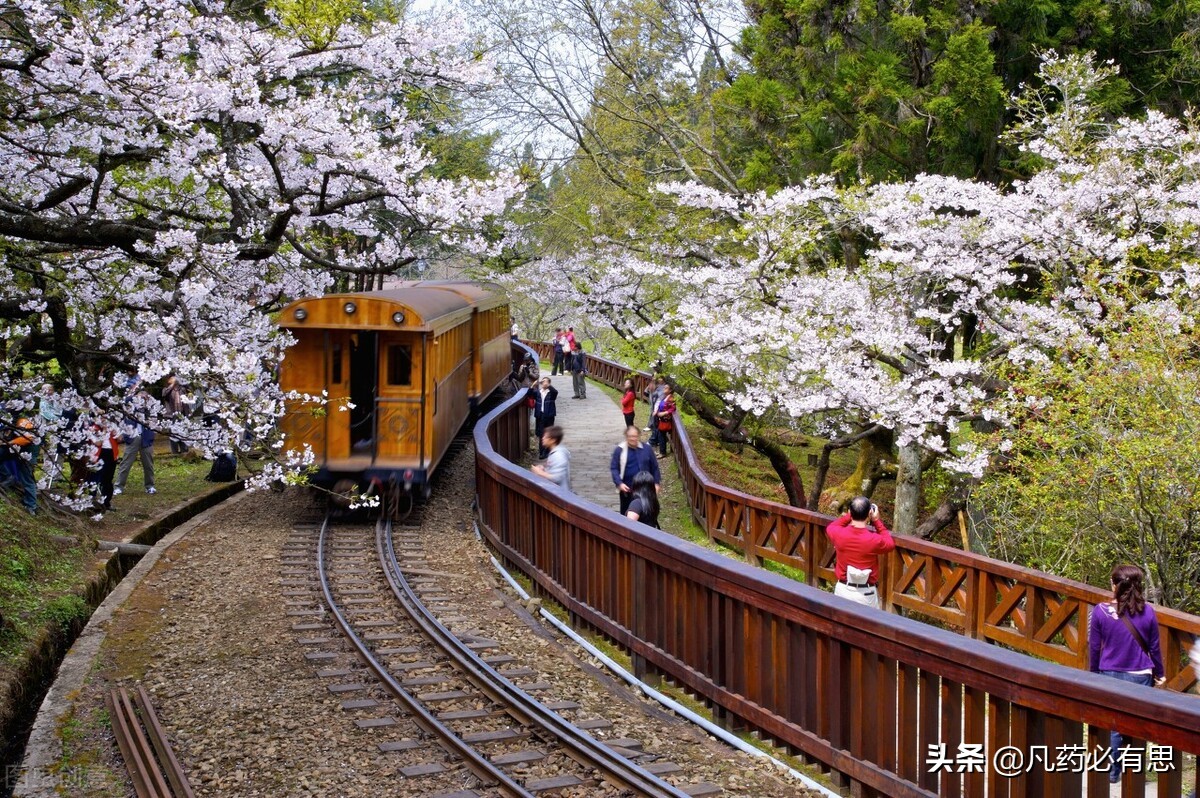 儿童感冒中成药有哪些,儿童感冒咳嗽的中成药
