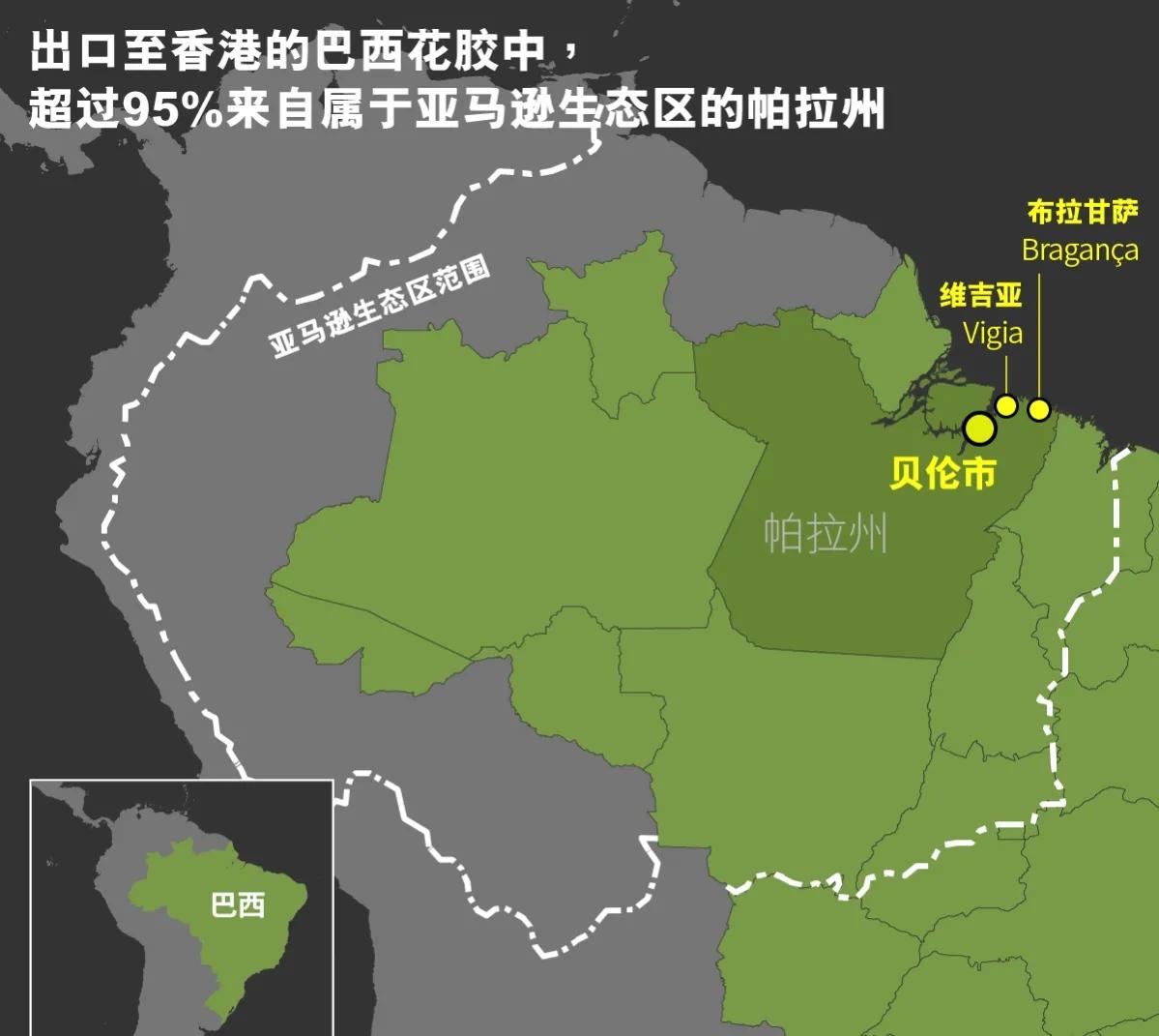 巴西这种鱼类衍生品分文不值，被中国炒到了1000一斤