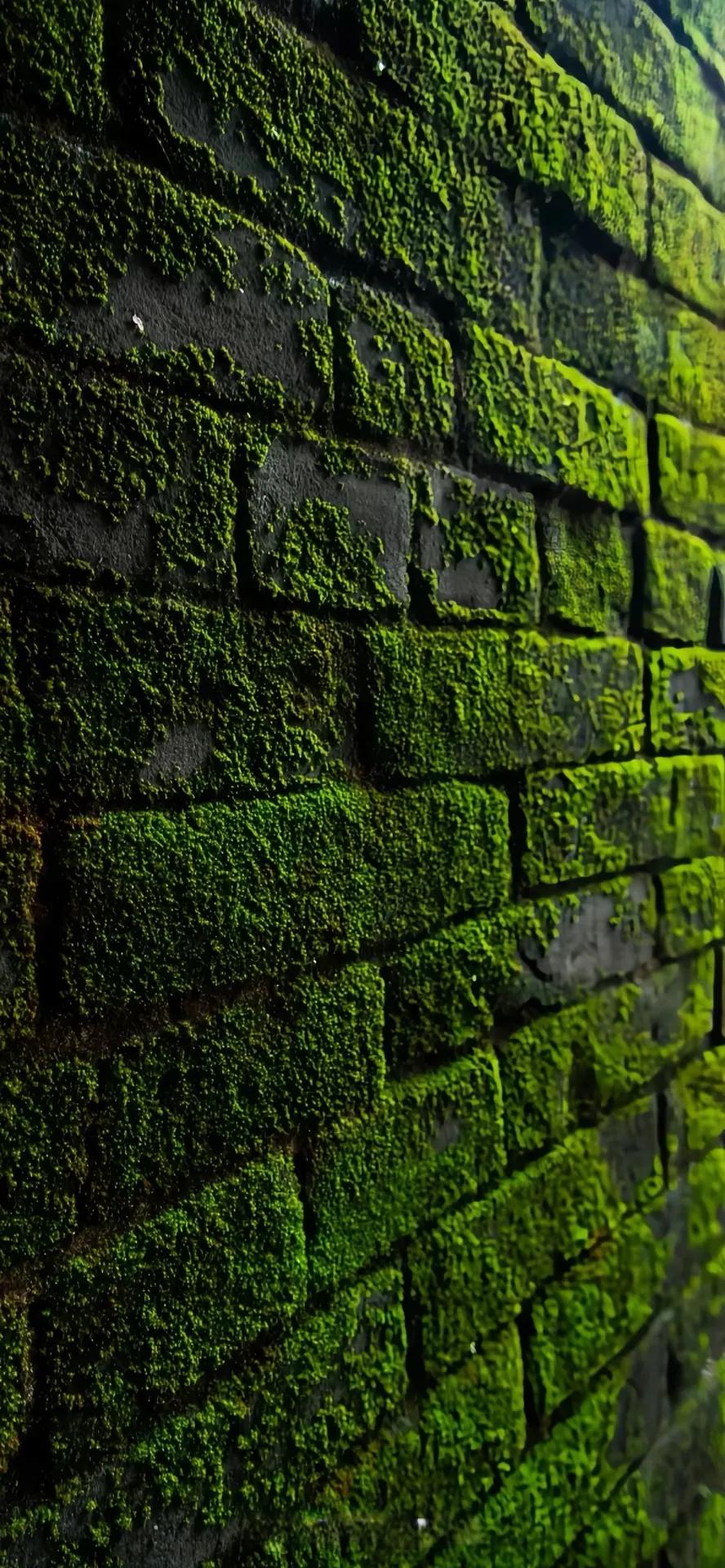 潮图壁纸抖音同款,潮图壁纸4k超清全面屏