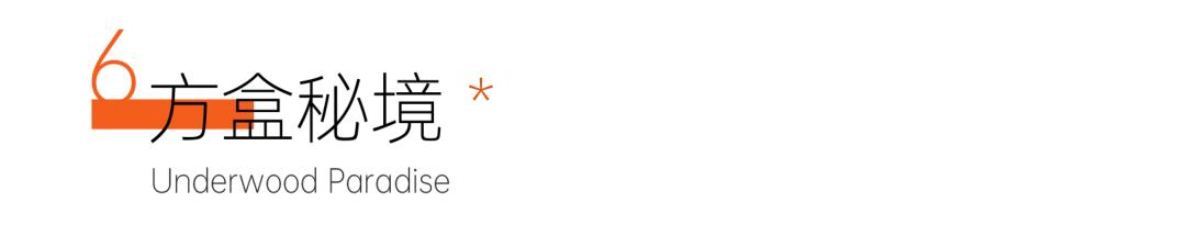 把家弄成游乐园是什么样的,把家打造游乐场是什么体验