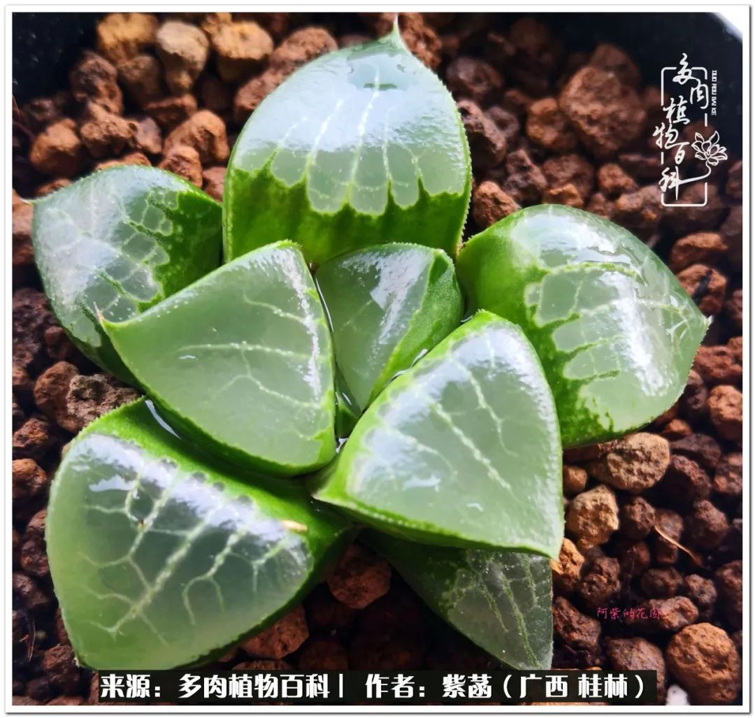 酷暑里的关爱，如十二卷般透亮绵长