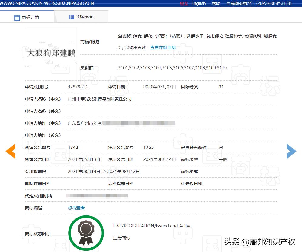 破5亿广东夫妇,广东网红夫妇一年挣50亿