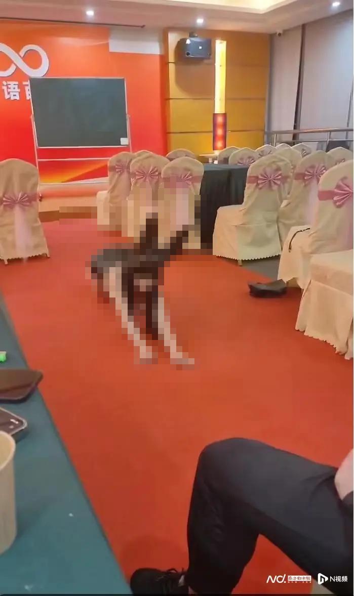 线下课被叫停,线下教育机构疑似大规模裁员