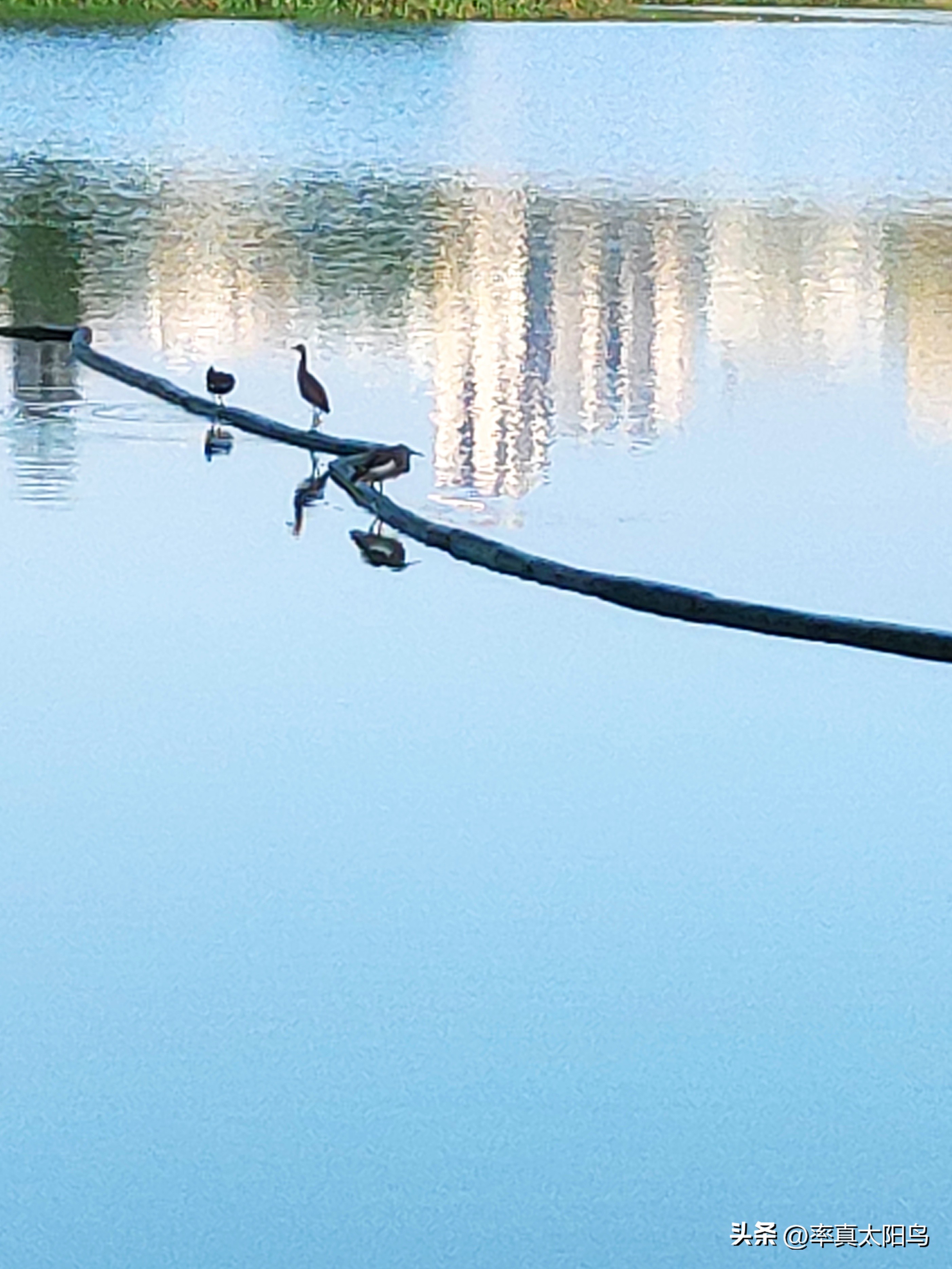 秋水之韵文章,秋水之韵抖音