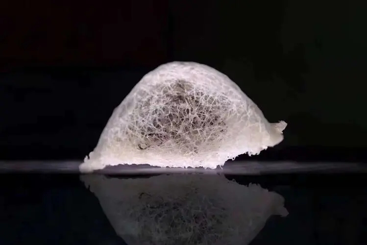 唾液酸到底是何方神圣？