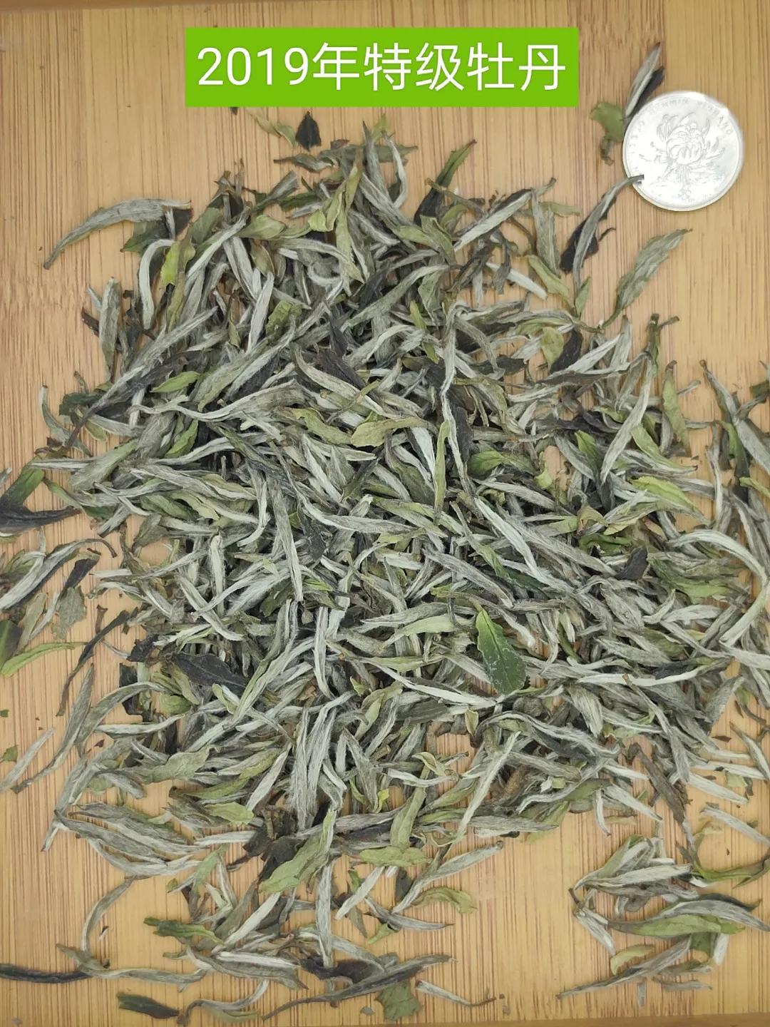 觅茶之趣岁月纯粹