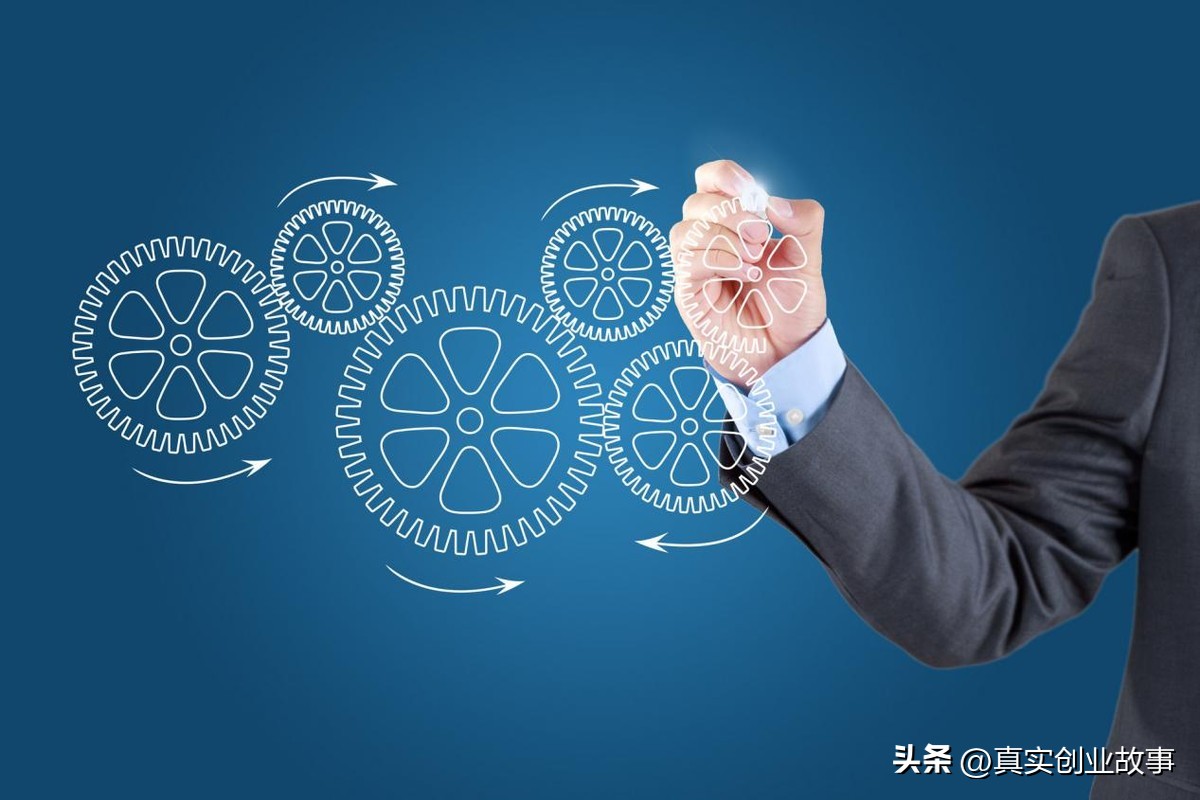 生存能力完整版,生存力竞争力发展力