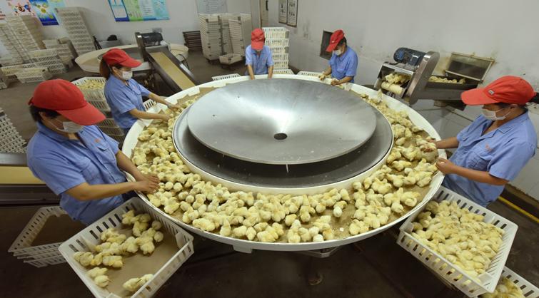 总资产超300亿有色、食品以及金融投资成为新凤祥集团三大支撑