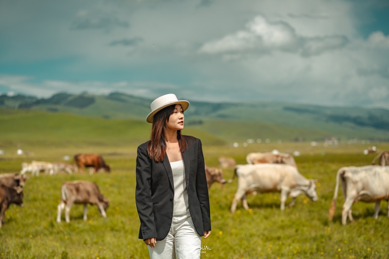 新疆伊犁之美,走了一圈才发现世界万物远不及你