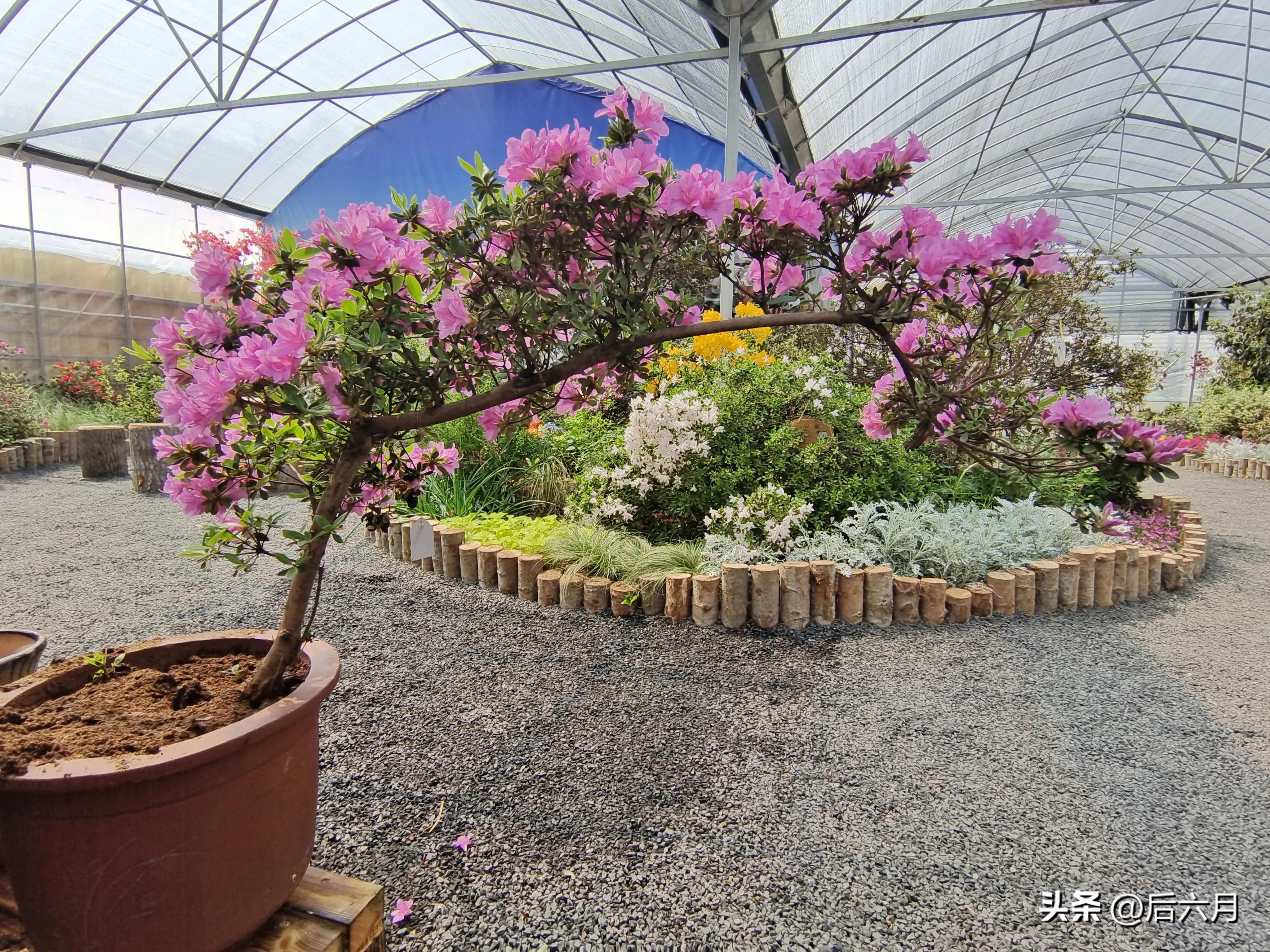 途游西海岸l无比方花园，杨家山里新添网红打卡地