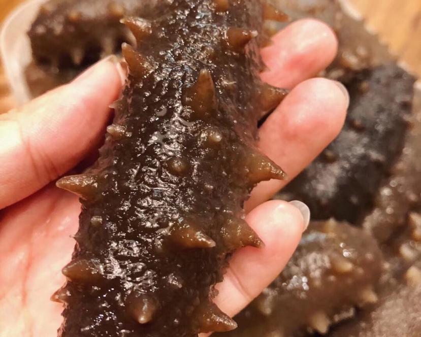 人们对游泳存在的误区,海参的迷惑行为