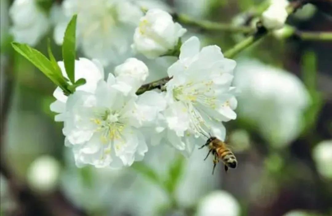 人生哲理意境文字,真字人生哲理