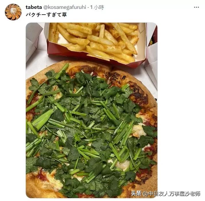 必胜客新品香菜披萨限定门店,日本必胜客披萨