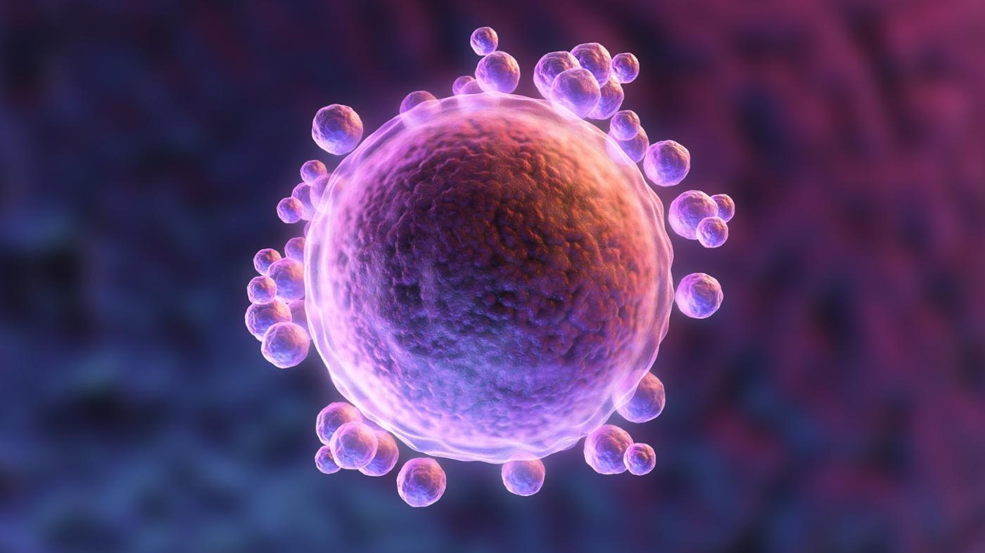 连体姐妹一人结婚现在如何,雌雄连体人结婚怎么办