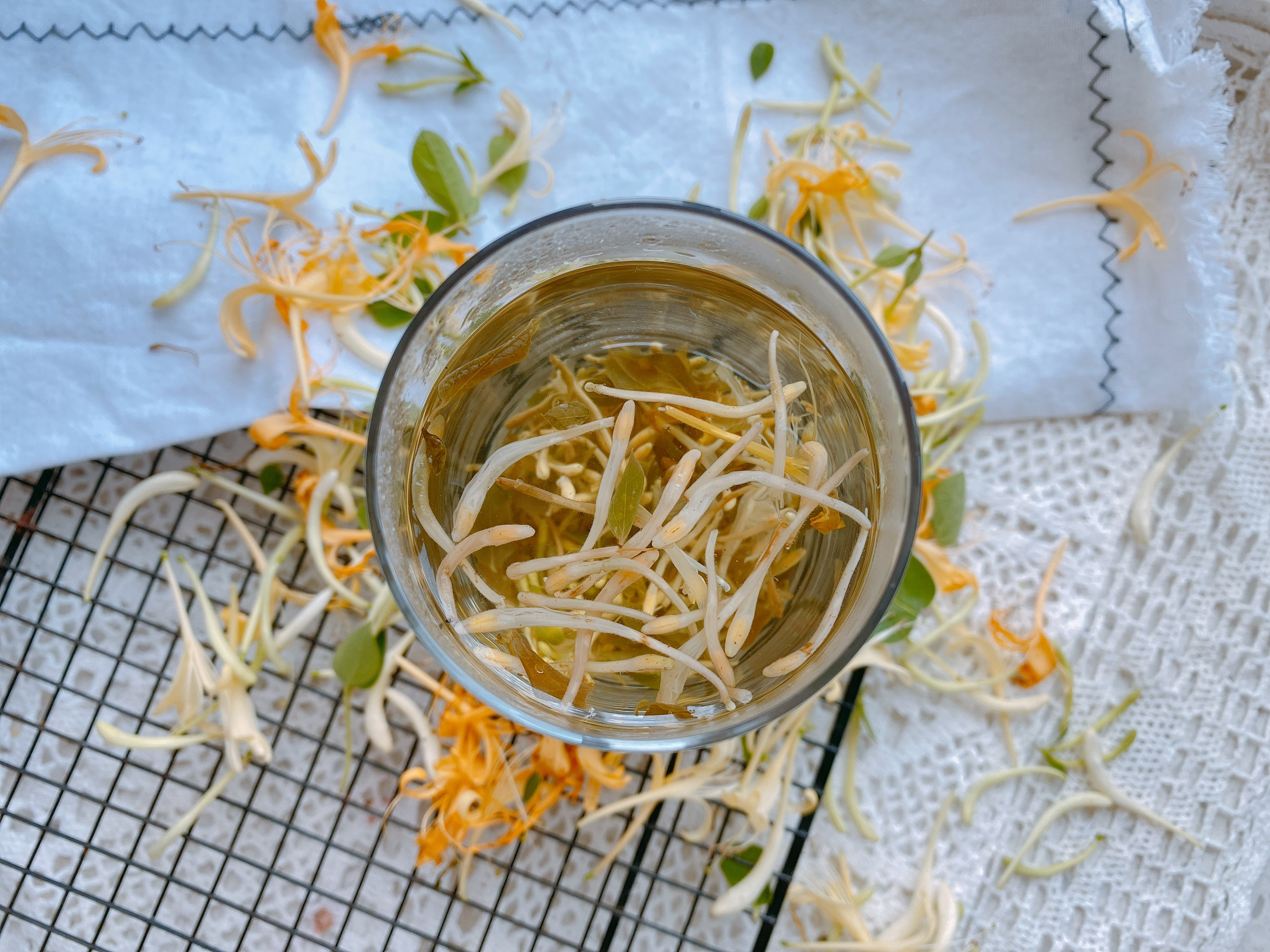 如何自制金银花茶,家庭制作金银花茶的方法