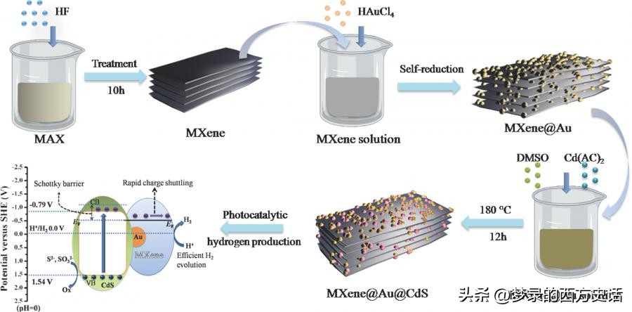 纤维素纳米晶体长宽比对所有CNC薄膜性能的影响被膜和木材CNC