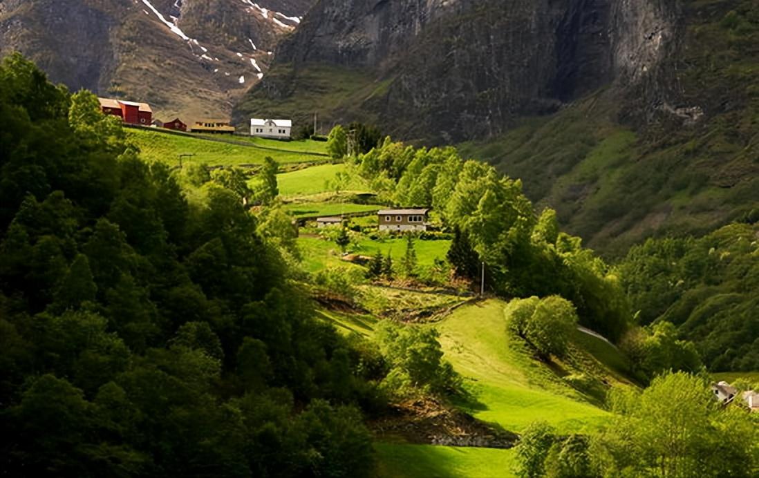 世界现代设计史重点归纳,世界现代设计史第一章什么是设计