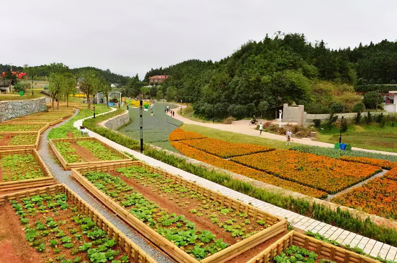 长沙县乡村游最佳去处,秋季长沙近郊自驾一日游